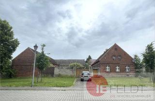 Haus kaufen in 03249 Sonnewalde, Dreiseitenhof mit zusätzlicher Scheune und angrenzendem Grünland.