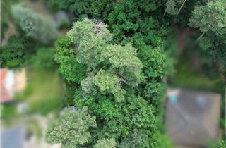 Grundstück zu kaufen in 15834 Rangsdorf, Attraktive Grundstück in begehrter Lage von Rangsdorf