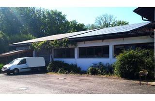 Büro zu mieten in 89269 Vöhringen, Gewerbe-/ Produktionhalle / Werkstatt/ Büro / Schulungsräume zu vermieten