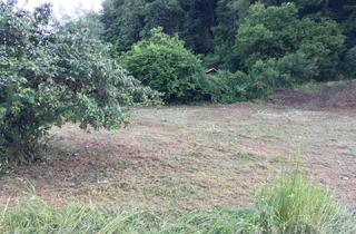 Grundstück zu kaufen in An Den Lutterhöfen, 37431 Bad Lauterberg, Grundstück zu verkaufen