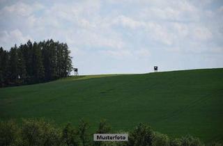 Grundstück zu kaufen in Hellrecke, 37627 Wangelnstedt, Unbebautes Grundstück (Wald/Nadelholz)