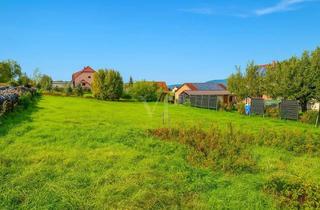 Grundstück zu kaufen in 91356 Kirchehrenbach, Traumhaftes, voll erschlossenes Baugrundstück bei Forchheim – direkt am Walberla