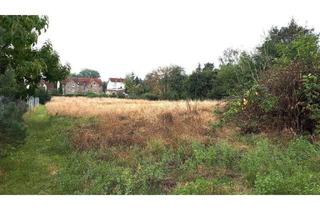 Grundstück zu kaufen in 06132 Radewell-Osendorf, Exklusives Grundstück in Halle (Saale) Eine Oase mit vielfältigen Möglichkeiten!