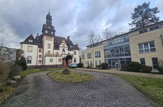 Immobilie kaufen in 60528 Niederrad, Villa Manskopf und Bürogebäude