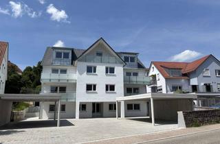 Wohnung mieten in Illinger Str. 49, 75417 Mühlacker, 2-Zi.-DG-Neubau-Wohnung mit Aufzug, barrierefreies Bad, ohne Balkon - mit Hausmeisterservice