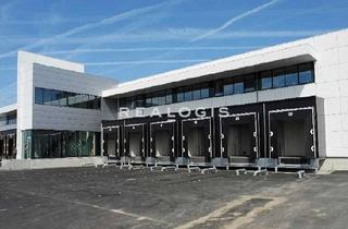 Gewerbeimmobilie mieten in 49492 Westerkappeln, Nähe Osnabrück | ca. 14.000 m² Neubau | Rampen | WGK3-fähig
