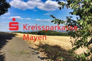 Grundstück zu kaufen in 56727 Mayen, Baugrundstücke im Stadtteil Kürrenberg in herrlicher Wohnlage.
