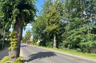 Grundstück zu kaufen in 15344 Strausberg, PROVISIONSFREI Baugrundstück Villa / MFH / EFH bis zu 650qm Geschossfläche