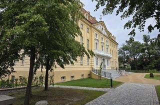 Gewerbeimmobilie mieten in Am Schloss, 01454 Wachau, Stilvolle Geschäftsräume im prachtvollen Schloss Wachau mit Eleganz
