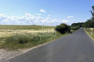 Gewerbeimmobilie kaufen in 07613 Heideland, *** 57.330 m² Ackerfläche in Heideland OT Etzdorf ***