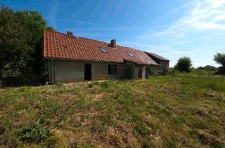 Einfamilienhaus kaufen in 06686 Lützen, Lützen - Haus mit 1062m2 Grundstück in Lützen OT Meuchen