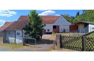 Bauernhaus kaufen in 31860 Emmerthal, Emmerthal - Resthof-Bauernhof