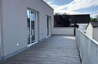 Penthouse mieten in 63512 Hainburg, Penthousewohnung Neubau 3 Zimmer