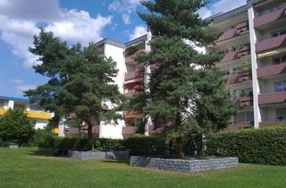 Wohnung mieten in Soldatenweg 64, 68305 Gartenstadt, 3 Zimmer Wohnung in der Gartenstadt