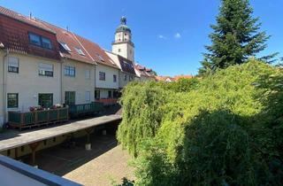 Wohnung mieten in 04600 Altenburg, kleine 2-Raum-Wohnung mit Balkon, Wanne und Dusche in Altenburg