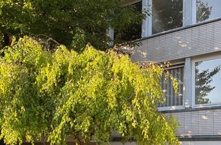 Penthouse mieten in Auf Dem Mühenacker 11, 50354 Hürth, Erstbezug: Exklusive, lichtdurchflutete Penthousewohnung mit Dachterrasse