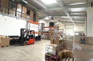 Gewerbeimmobilie mieten in 74246 Eberstadt, großflächige moderne Kalthalle