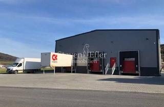 Büro zu mieten in 91238 Offenhausen, Kompaktes Lager mit Büromodern und gut ausgestattet
