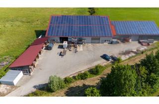 Gewerbeimmobilie mieten in 92360 Mühlhausen, ***Im Industriegebiet: ca. 340 qm Hallenfläche***