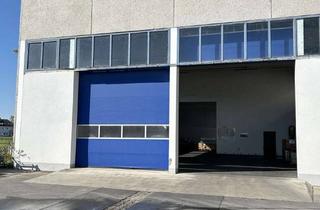 Gewerbeimmobilie mieten in 87719 Mindelheim, nur noch Teile verfügbar -Lagerhalle mit Einzelgaragen, alles einzeln anmietbar