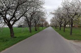 Grundstück zu kaufen in 15936 Dahme, Sie haben die Auswahl - mehrere Baugrundstücke im Verkauf ohne Baubindung