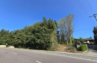 Grundstück zu kaufen in 66265 Heusweiler, Großzügiges Baugrundstück in Heusweiler - Eiweiler