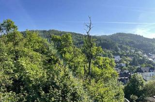 Grundstück zu kaufen in 53518 Adenau, Glück im Doppelpack: 2 Traum-Baugrundstücke mit Aussicht über Adenau!