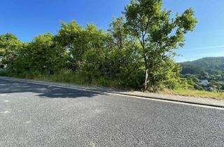 Grundstück zu kaufen in 53518 Adenau, Traum-Baugrundstück mit Aussicht über Adenau!