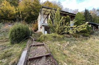 Grundstück zu kaufen in 07646 Lippersdorf-Erdmannsdorf, Ihr Rückzugsort im Grünen: Kleingarten mit Eigentumsgrundstück
