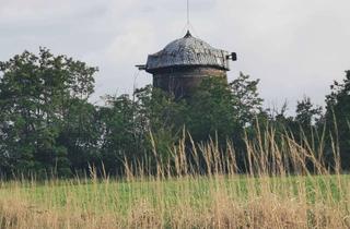 Grundstück zu kaufen in 14929 Treuenbrietzen, Mühle mit Wohnen und Gewerbe am Badesee