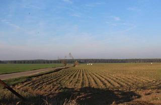 Gewerbeimmobilie kaufen in 06779 Raguhn, Landwirtschaftliche Ackerflächen in Raguhn 29.916m²