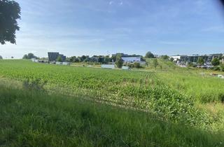 Gewerbeimmobilie mieten in 85276 Pfaffenhofen, Lager-/Freifläche in Pfaffenhofen - Kuglhof