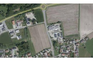 Gewerbeimmobilie kaufen in 94405 Landau, Grundstück für Gewerbe nähe Autobahn