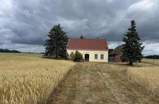 Haus kaufen in Grüssower Straße 17, 17406 Rankwitz, Vierseitenhof in Traumhafter Lage mit Ackerflächen und Wald auf der Sonneninsel Usedom !!!