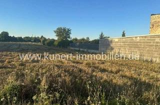 Grundstück zu kaufen in Dölbauer Landstraße 13, 06116 Reideburg, 5234 m² Entwicklungsgrundstück für Wohnungsbau/ EFH-Bau in sehr guter Lage von Halle-Reideburg