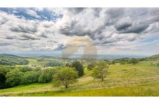 Grundstück zu kaufen in 77887 Sasbachwalden, Seltenes Traumgrundstück in Sasbachwalden – mit Panoramablick über die Rheinebene!