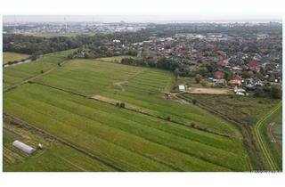 Gewerbeimmobilie kaufen in 25541 Brunsbüttel, 2 gut erreichbare Grünland/ Ausgleichsflächen (zusammen 3 ha) am Stadtrand pachtfrei abzugeben !