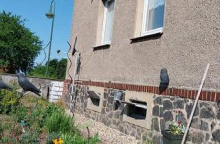 Einfamilienhaus kaufen in 04808 Wurzen, Wurzen - Einfamilienhaus mit Nebengelassen und großem Garten in Böhlitz
