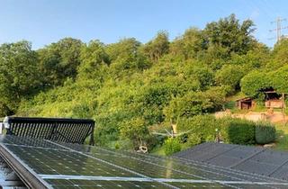 Haus kaufen in 55596 Waldböckelheim, Waldböckelheim - Haus mit sehr viel Grün und in sehr guter Infrastruktur