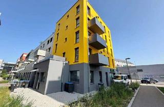 Wohnung kaufen in 72072 Tübingen, Traumhafte 4 Zimmer-Neubauwohnung mit TG- Stellplatz & Aufzug in Tübingen!