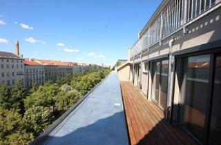 Wohnung mieten in Kollwitzplatz, 10405 Prenzlauer Berg, Sonniges Dachgeschoss zwischen Kollwitzplatz und Alex - Termine per Telefon 030 80904141