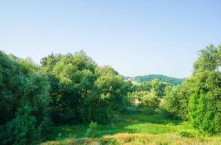 Wohnung mieten in Zöllnitzer Straße 45, 07751 Zöllnitz, Balkonblick ins Grüne