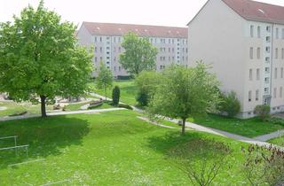 Wohnung mieten in Erich-Weinert-Str. 26, 06667 Weißenfels, Großzügige, helle 2-Raum Wohnung mit Platz für die ganze Familie