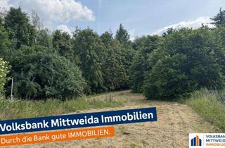 Grundstück zu kaufen in 09661 Striegistal, 5260m² Großes Grundstück - bebaut mit Scheune und Werkstatt - Wald und Wiese!
