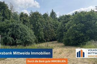 Grundstück zu kaufen in 09661 Striegistal, 5260m² Großes Grundstück - bebaut mit Scheune und Werkstatt - Wald und Wiese!