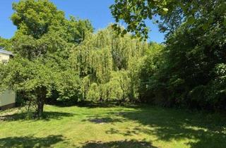 Grundstück zu kaufen in 04827 Machern, Machern am Schlosspark – Bauplatz mit Charakter