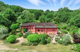 Einfamilienhaus kaufen in 01665 Diera-Zehren, Grünes Paradies mit Charme - Einfamilienhaus mit weitläufigem Traumgarten