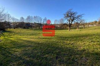 Grundstück zu kaufen in 54636 Ehlenz, Baugrundstück in traumhafter Ortsrandlage