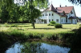 Haus mieten in 88416 Ochsenhausen, Wohnen und Arbeiten unter einem Dach / Mehrgenerationen / Anwesen mit viel Potenzial und italienisch