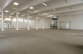 Gewerbeimmobilie mieten in 85599 Parsdorf, ca. 6.620 m² Hallenfläche östlich von München zu vermieten